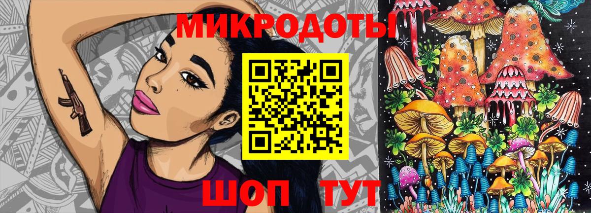 Галлюциногенные грибы Psilocybine cubensis Волжск